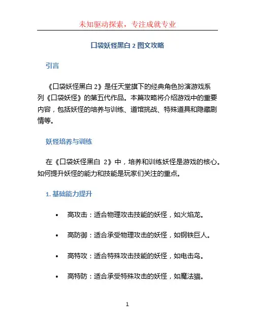 口袋妖怪黑白2图文攻略 (2)