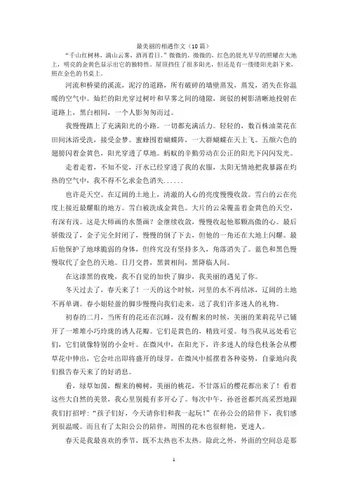 最美丽的相遇作文(10篇)