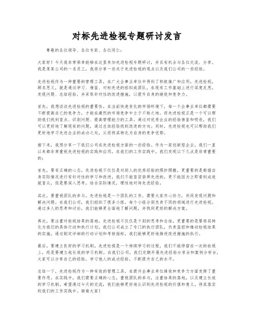 对标先进检视专题研讨发言