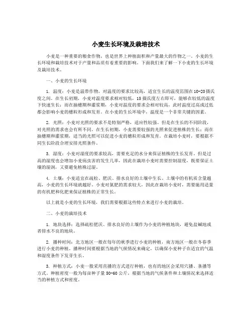 小麦生长环境及栽培技术