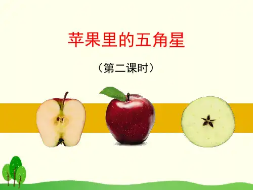 《苹果里的五角星》课件PPT