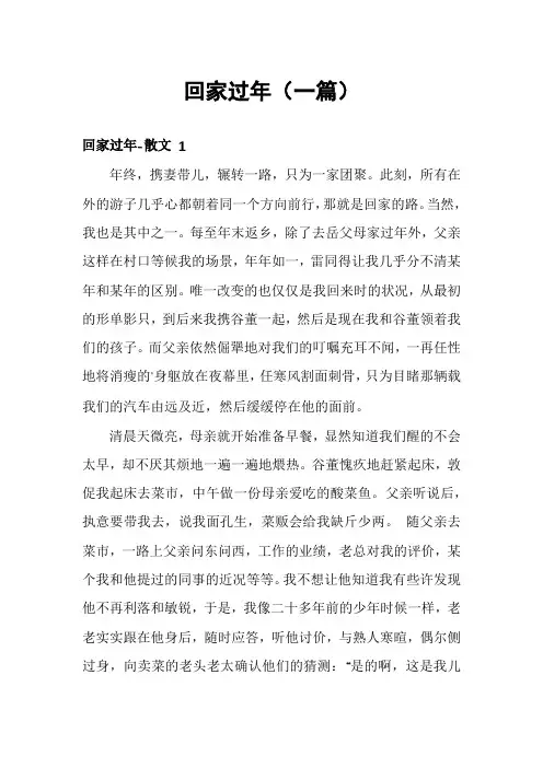 回家过年(一篇)