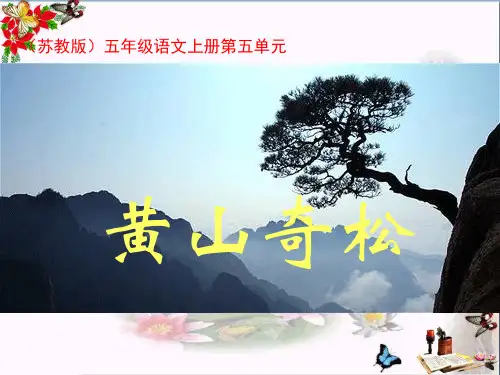 黄山奇松-PPT优秀课件