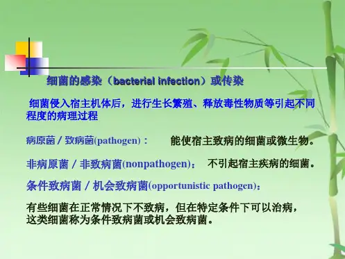 第十四章 细菌的感染与免疫(共30张PPT)