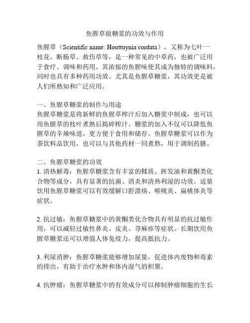 鱼腥草做糖浆的功效与作用