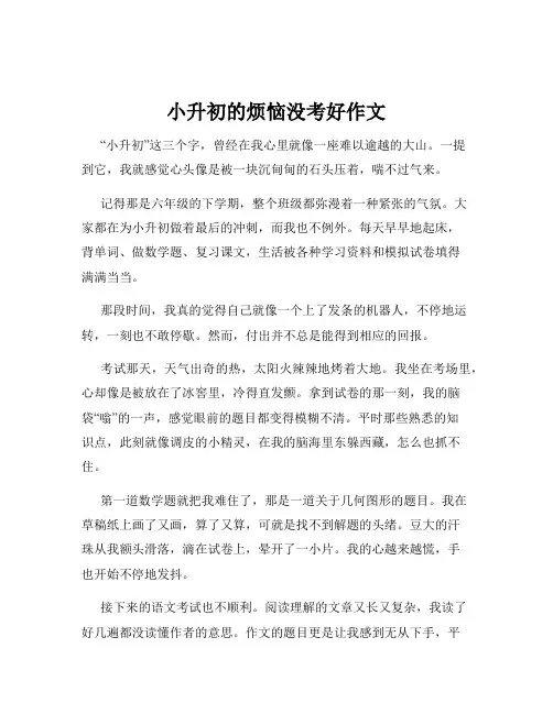 小升初的烦恼没考好作文
