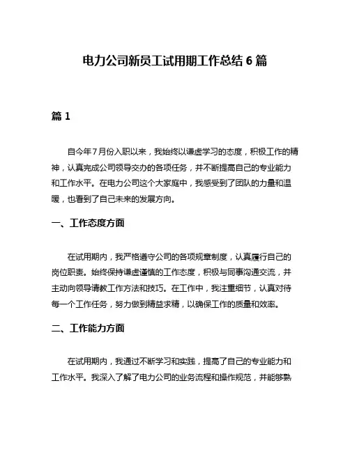 电力公司新员工试用期工作总结6篇