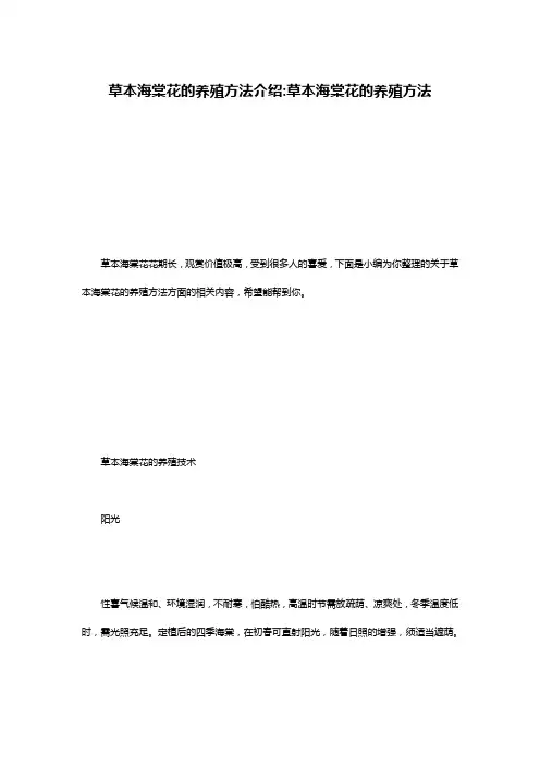 草本海棠花的养殖方法介绍-草本海棠花的养殖方法