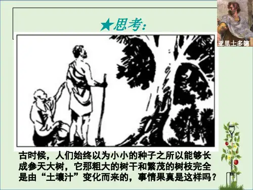 光合作用的发现历程