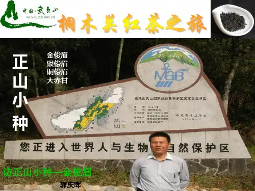 世界红茶鼻祖-正山小种,金骏眉