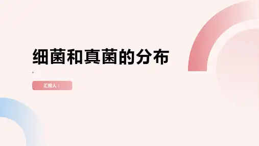 八年级生物上册4.1细菌和真菌的分布