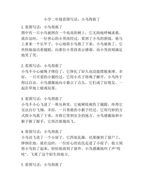 小学二年级看图写话：小鸟得救了