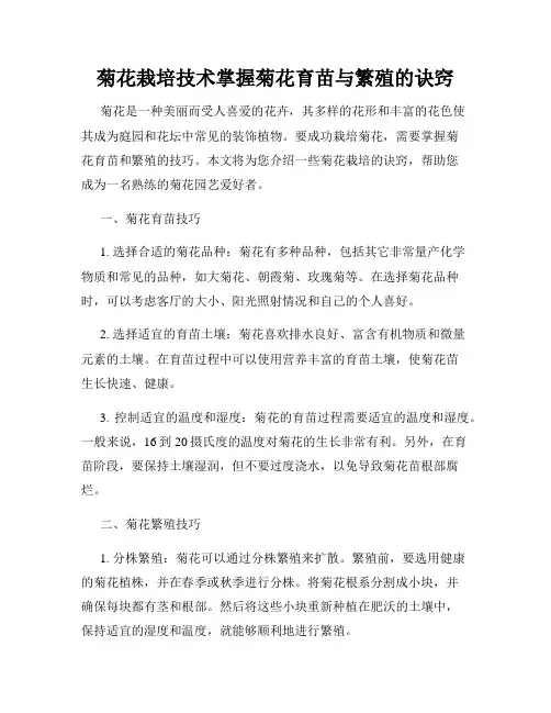 菊花栽培技术掌握菊花育苗与繁殖的诀窍