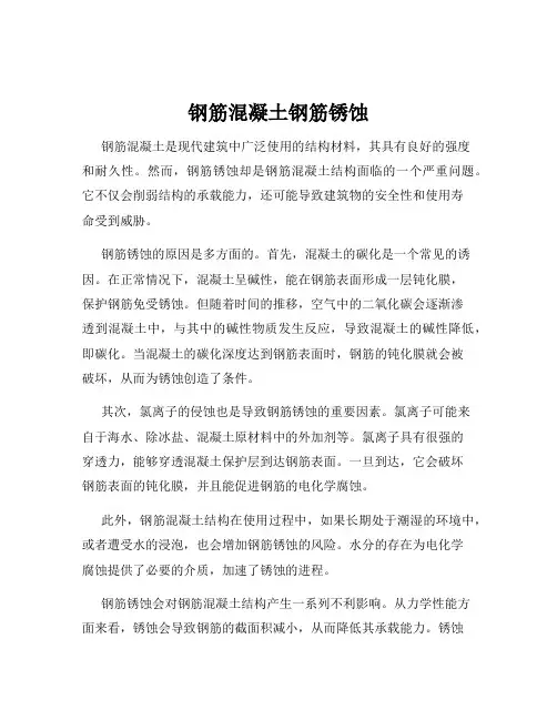 钢筋混凝土钢筋锈蚀