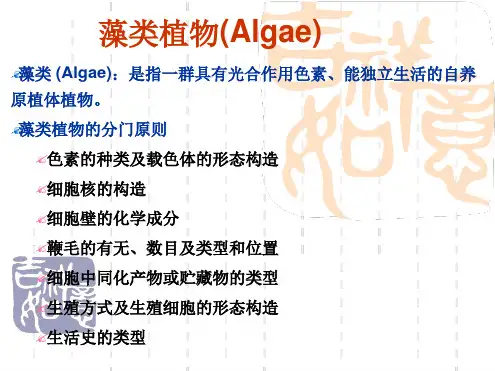 植物学课件藻类植物(Algae)最新精选PPT课件