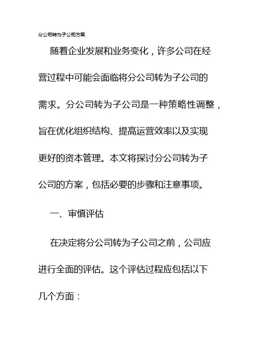 分公司转为子公司方案