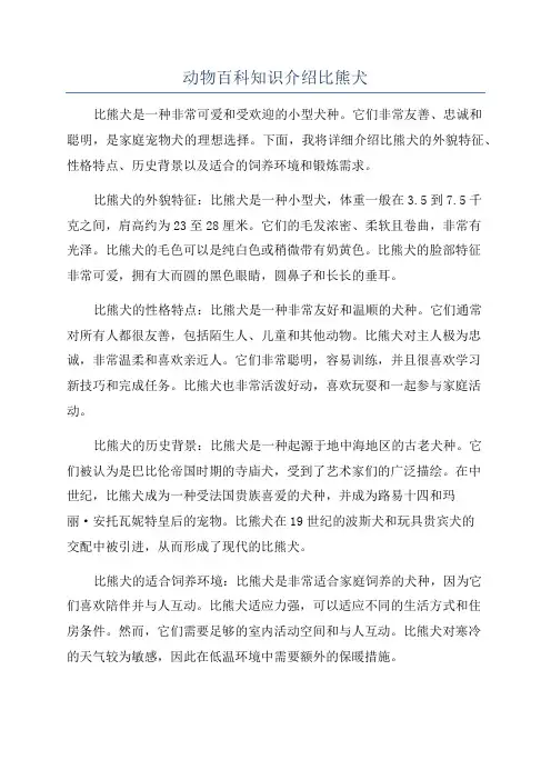 动物百科知识介绍比熊犬