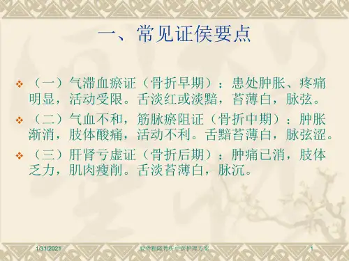 股骨粗隆骨折中医护理方案培训课件
