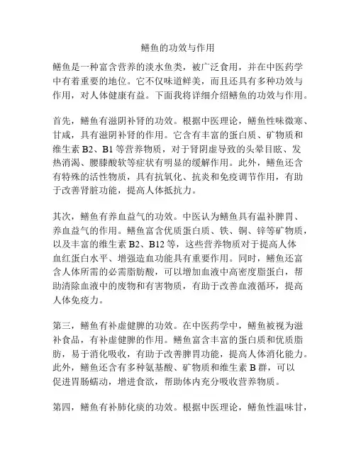 鳝鱼的功效与作用