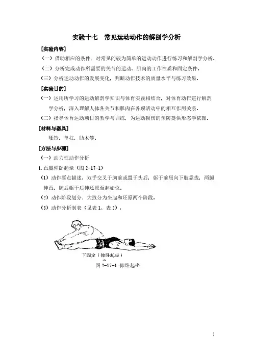 人体解剖学   实验十七 常见运动动作的解剖学分析-推荐下载