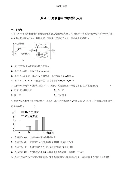 542 光合作用的原理和应用(习题精练)-2023学年高一生物名师课件精讲+习题精练(原卷版)