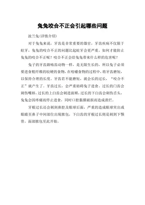 兔兔咬合不正会引起哪些问题