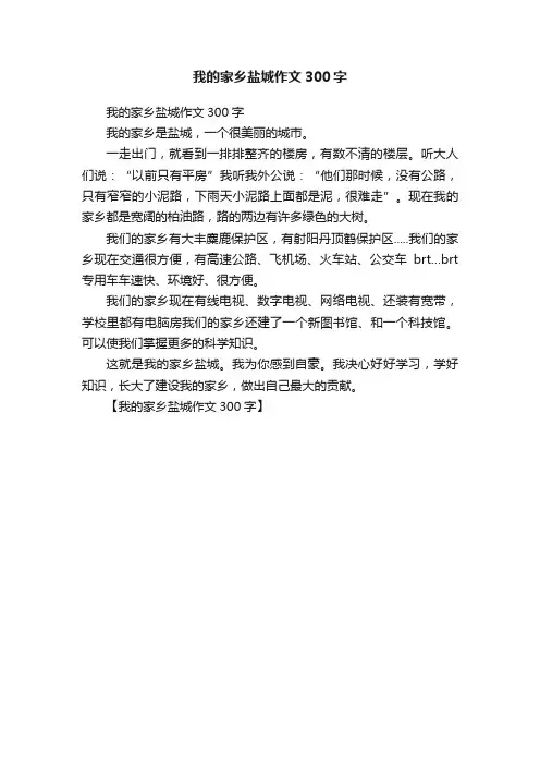 我的家乡盐城作文300字