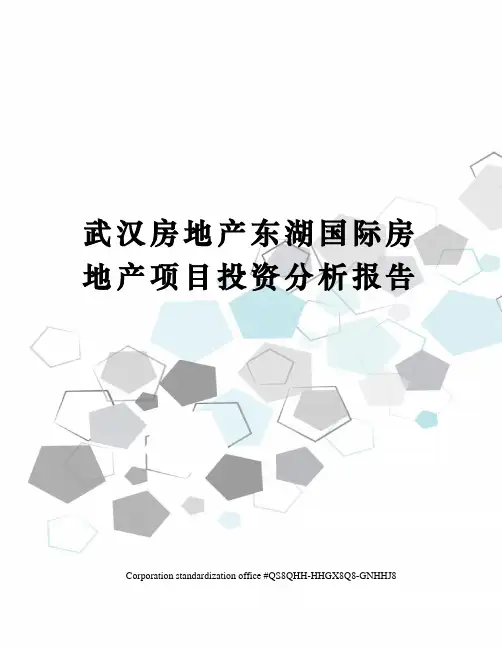 武汉房地产东湖国际房地产项目投资分析报告