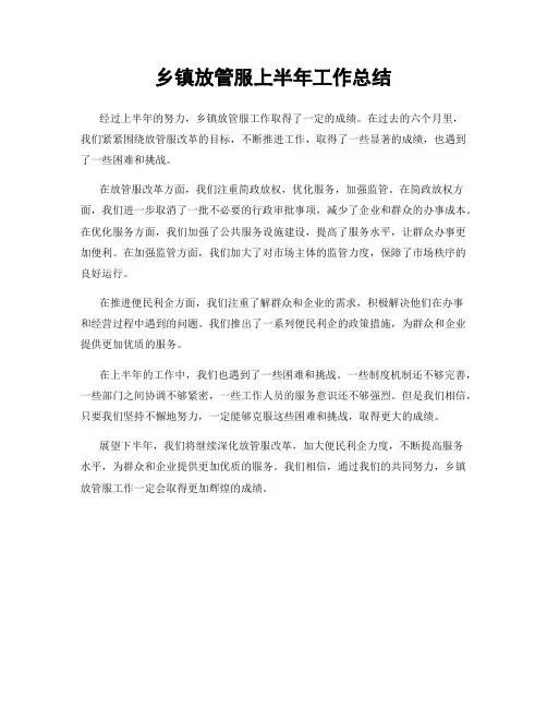 乡镇放管服上半年工作总结