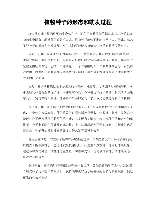 植物种子的形态和萌发过程