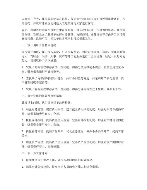 领导审计调研发言稿范文