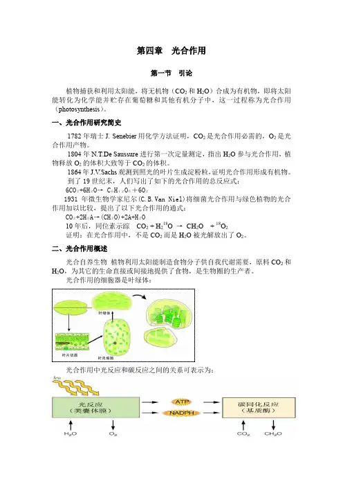 光合作用