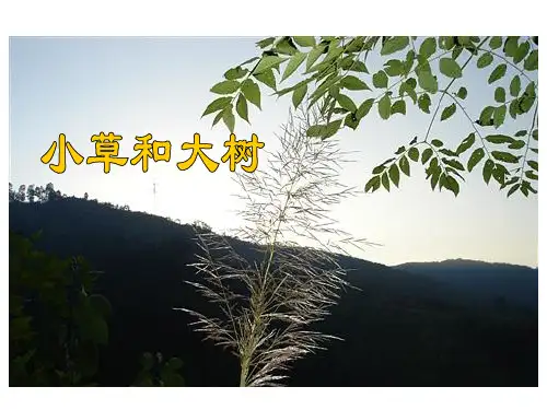 新课标苏教版六年级上册语文ppt课件小草和大树