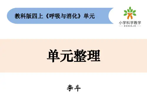 小学科学四上第二单元《呼吸与消化》单元整理(PPT)