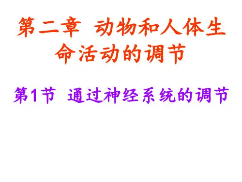 神经调节