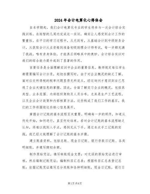 2024年会计电算化心得体会（4篇）