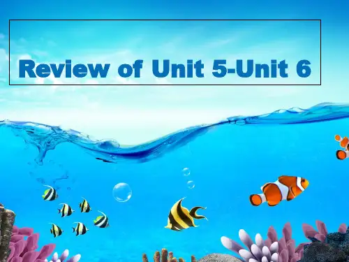 仁爱英语七年级下册期中考试Unit5-Unit 6复习要点(共12张PPT)