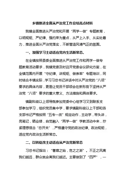乡镇推进全面从严治党工作总结亮点材料