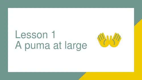 新概念英语第三册 Lesson1 A puma at large 课件