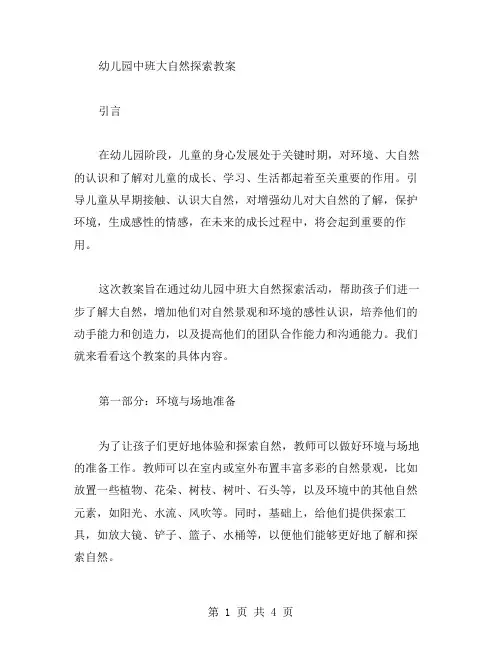 幼儿园中班大自然探索教案