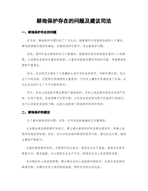 耕地保护存在的问题及建议司法