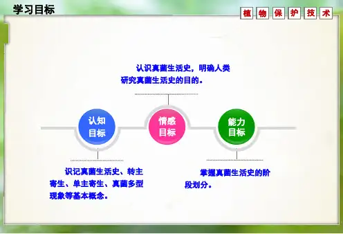 认识真菌生活史