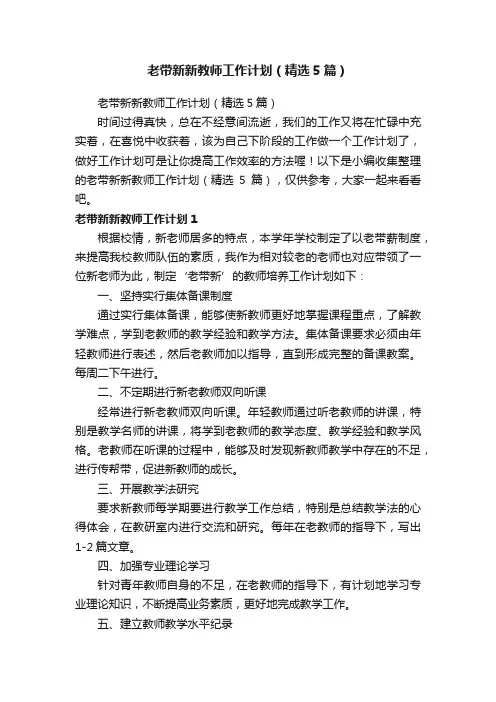 老带新新教师工作计划（精选5篇）