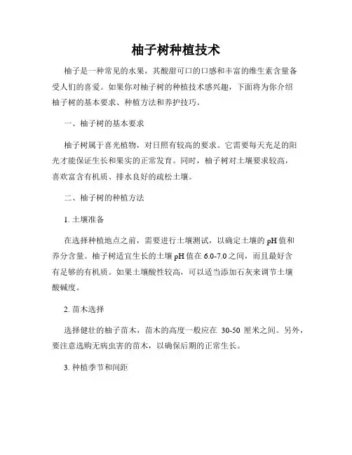 柚子树种植技术