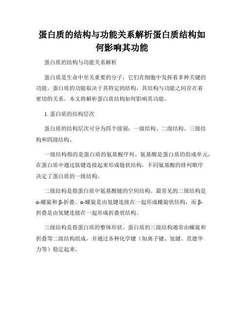 蛋白质的结构与功能关系解析蛋白质结构如何影响其功能