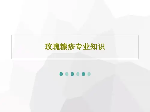 玫瑰糠疹专业知识71页PPT