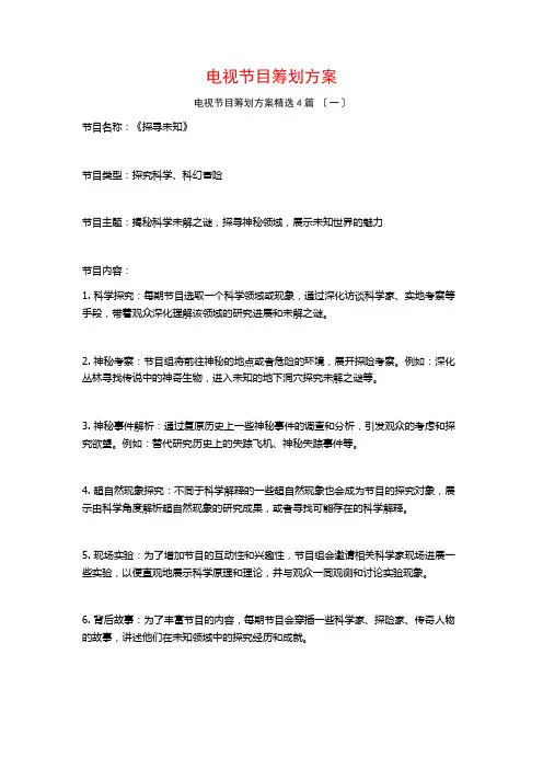 电视节目策划方案4篇