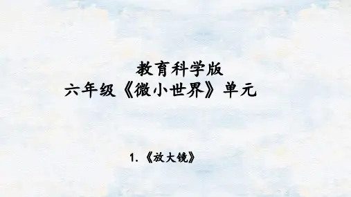 教科版六年级科学上册第一单元放大镜课件