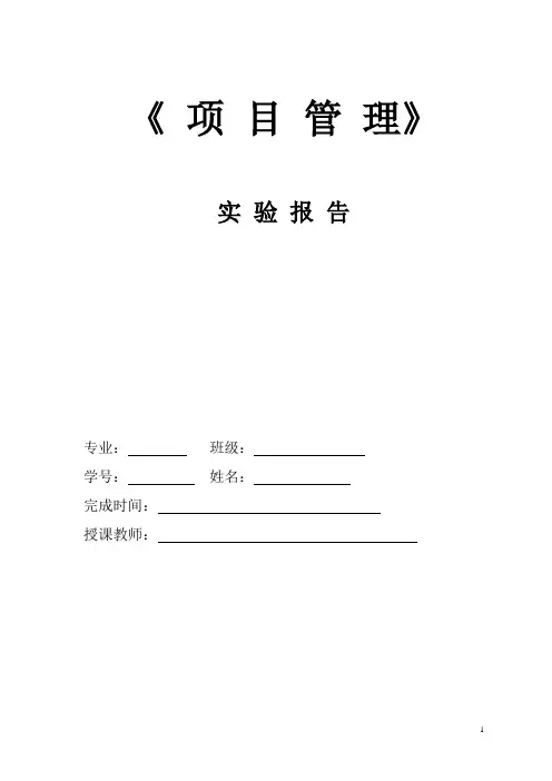 项目管理实训报告