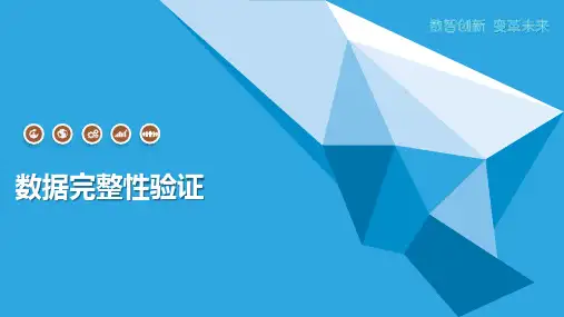 数据完整性验证